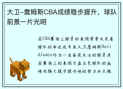 大卫-詹姆斯CBA成绩稳步提升，球队前景一片光明